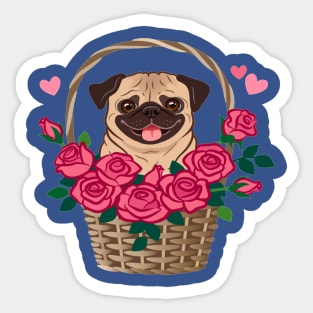 Cute pug dog sitting in a basket Sticker